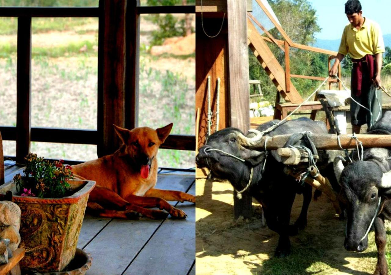 Shanta Ghar A Rustic Guesthouse Chitwan Ngoại thất bức ảnh